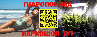 шишки Кинель