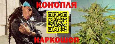 эйфоретик Кингисепп
