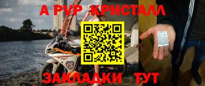 эйфоретик Кингисепп