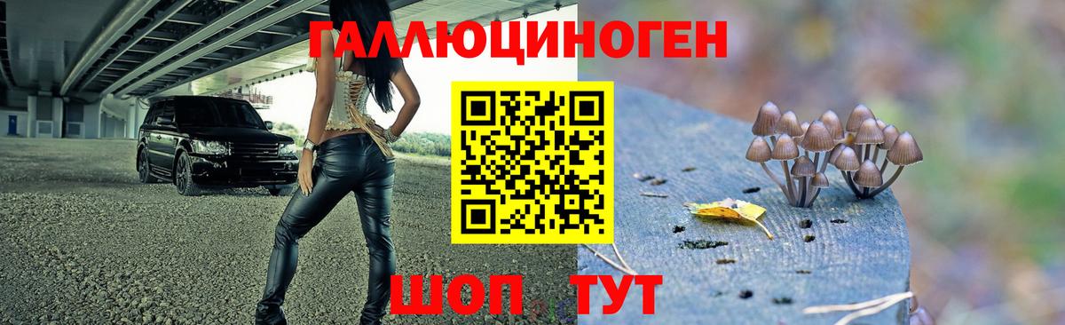 Новочебоксарск  Галлюциногенные грибы Magic Shrooms  Вход с VPN  Псилоцибиновые грибы Cubensis 